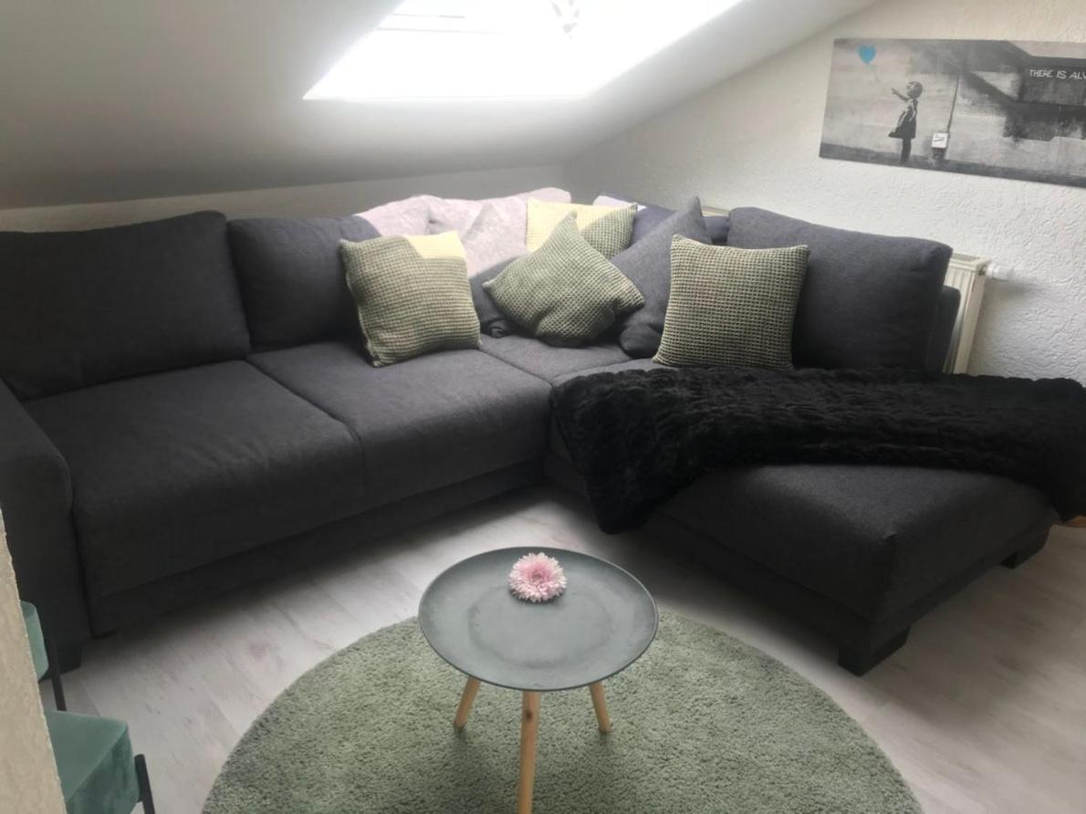 Ue Villa 4 Zimmer Hirschaid Kültér fotó